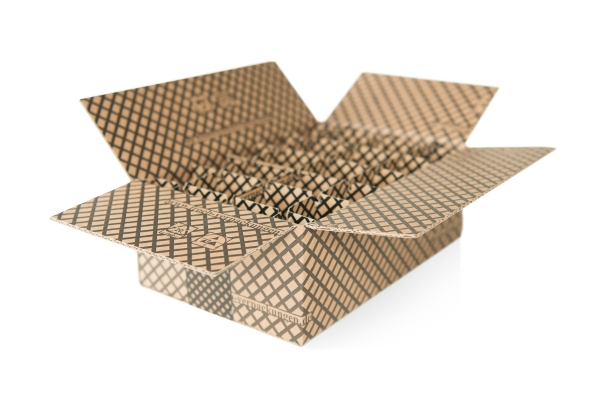 ESD Karton mit Gefache 27,5 x 18 x 10 cm
